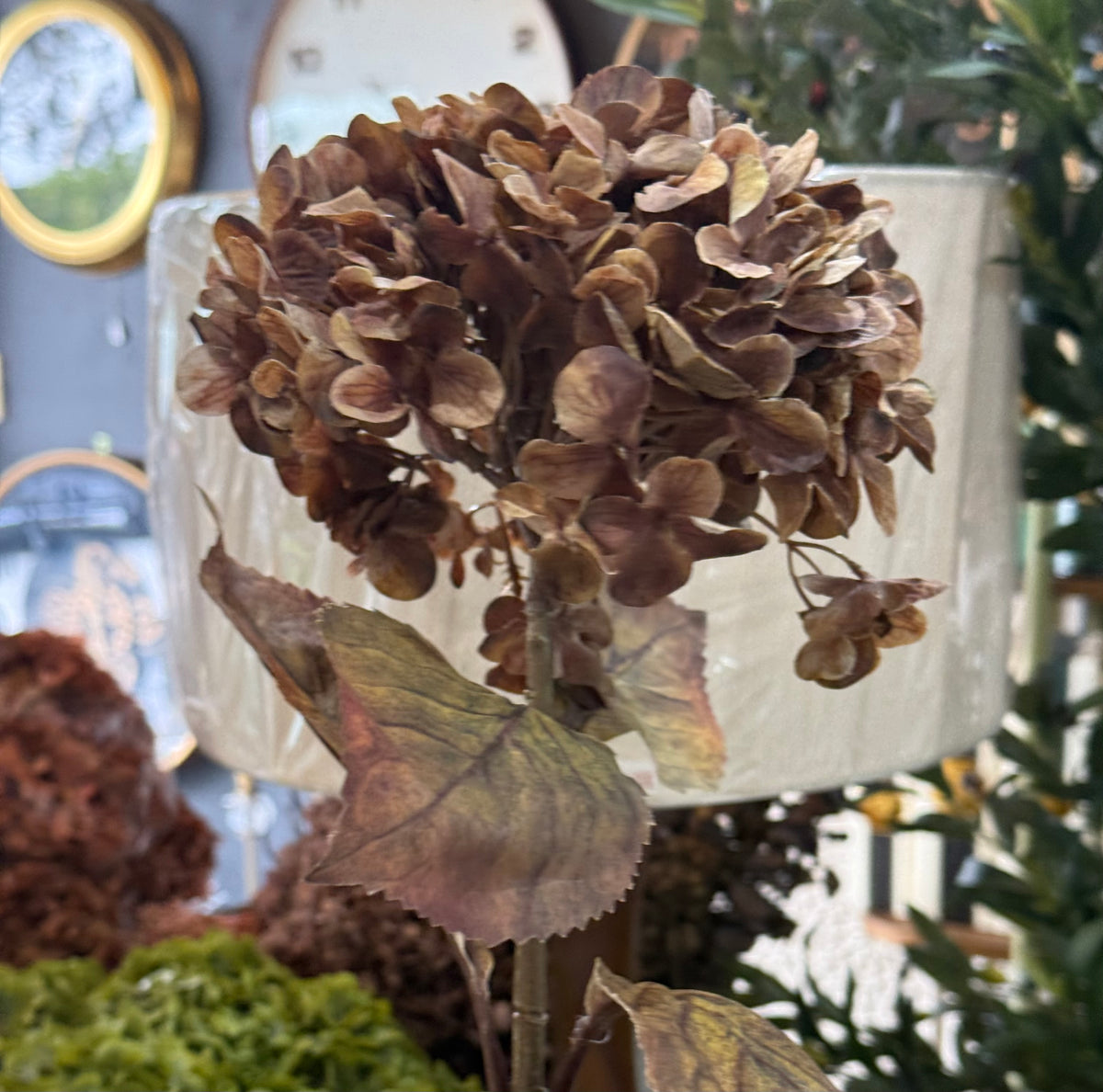 Vintage Autumn Hydrangea