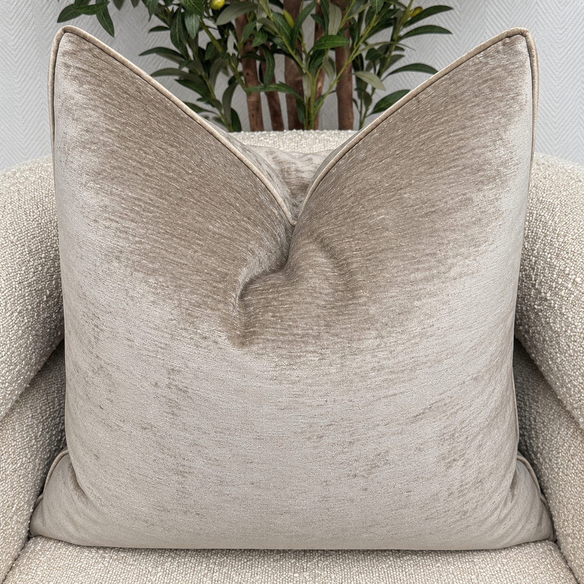 Oyster Velvet Cushion