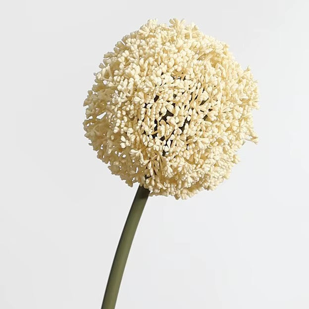 Cream Faux Allium Giganteum Ball Flower