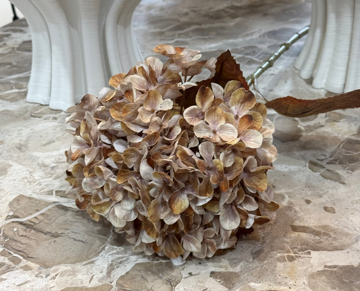 Autumn Hydrangea Stem