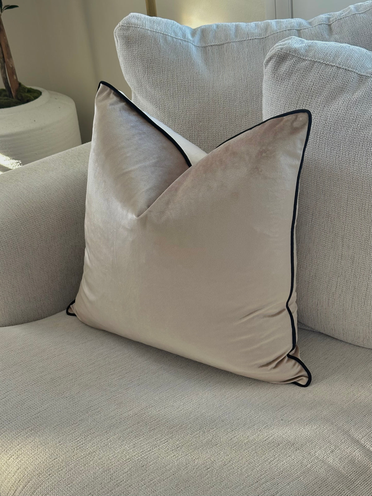 Luxury Beige Velvet Cushion with Black Piping