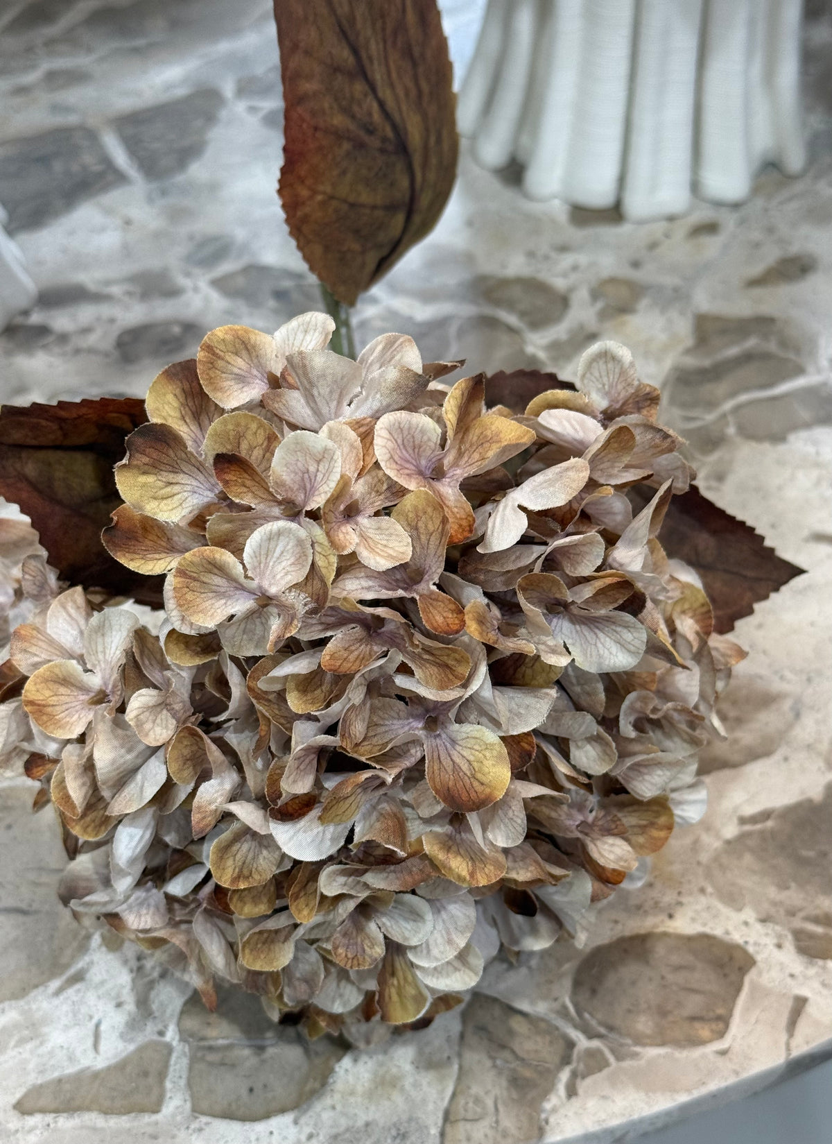Autumn Hydrangea Stem