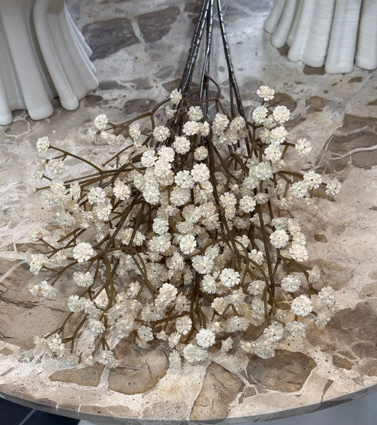Baby’s Breath Ivory