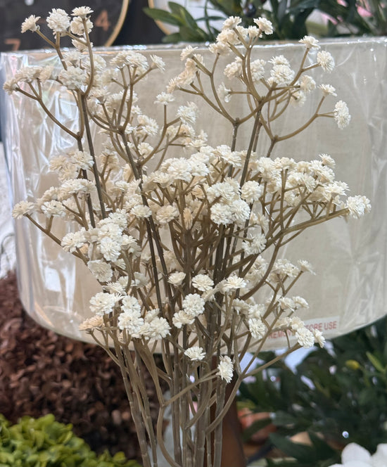Baby’s Breath Ivory