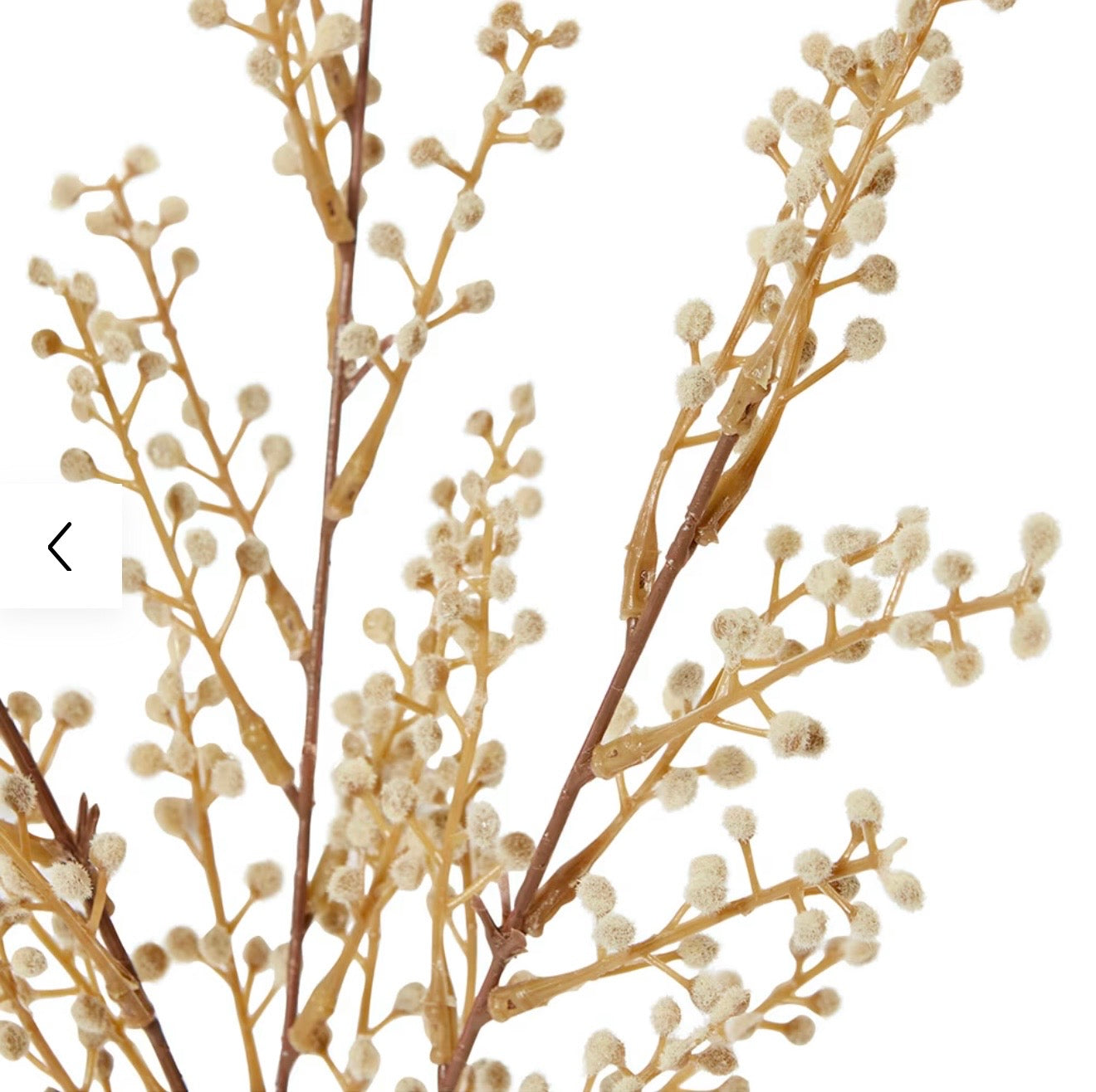 Willow Mini Bush – Natural