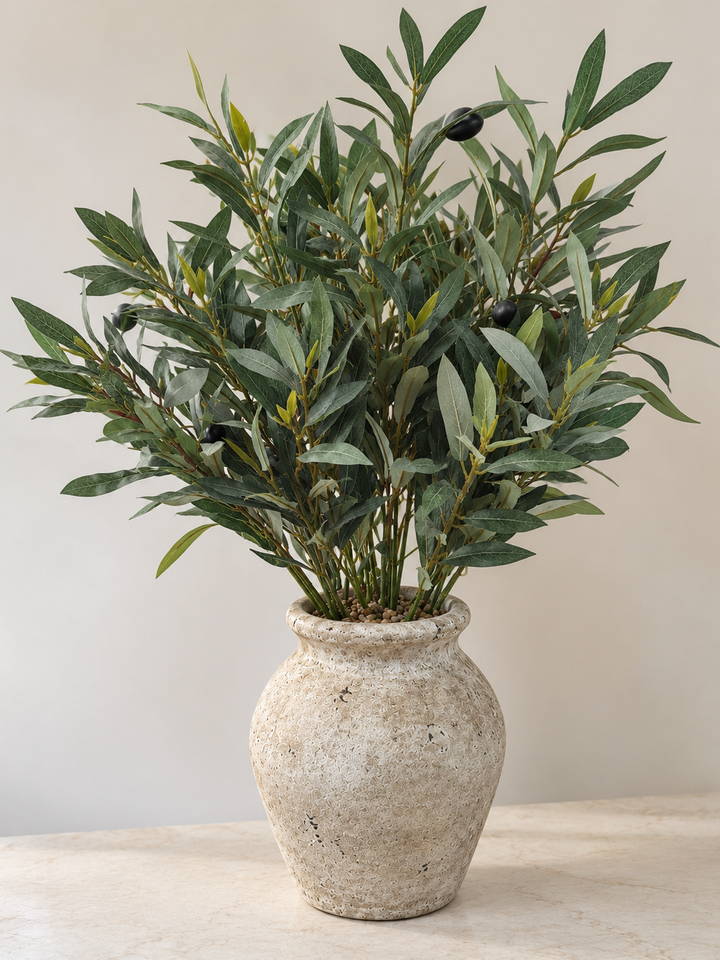 Olive Grove Arrangement