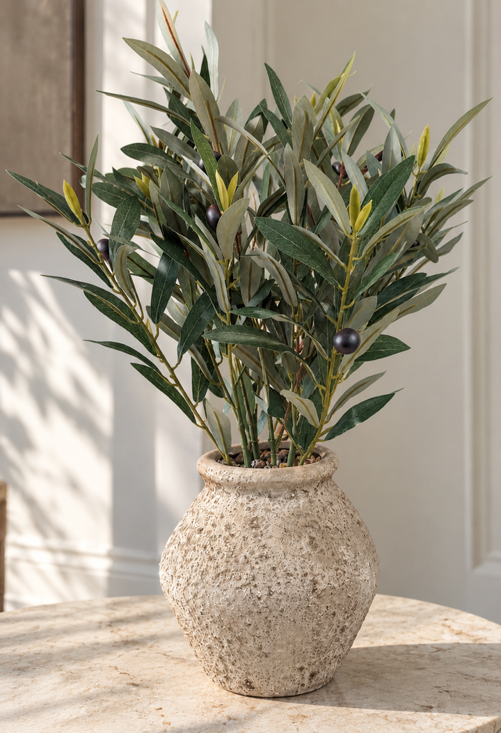 Tuscan Olive Arrangement