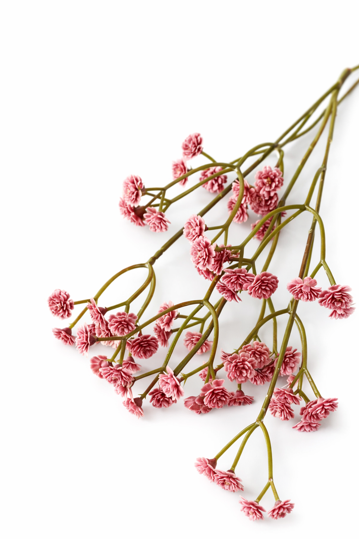 Blush Baby’s Breath Stem