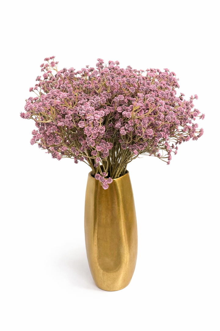Blush Baby’s Breath Stem