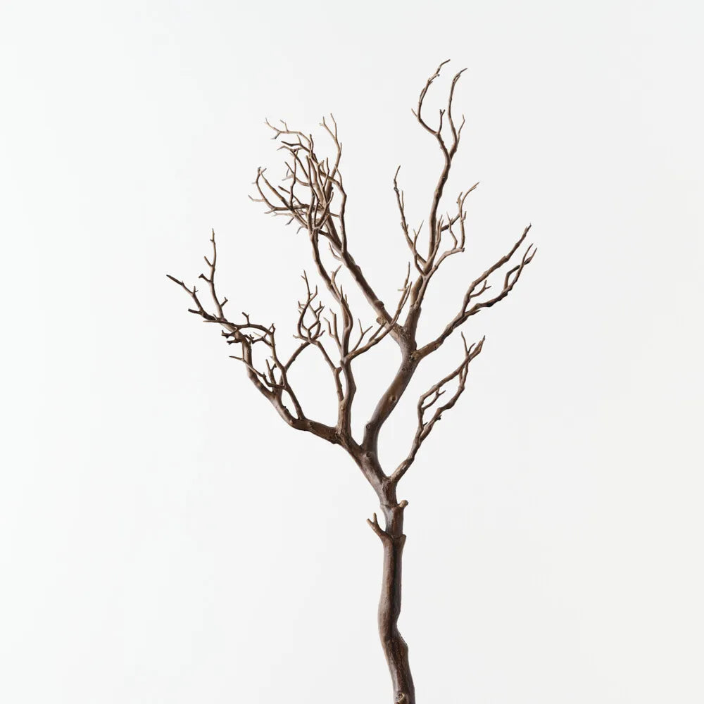 Coral Twig Branch