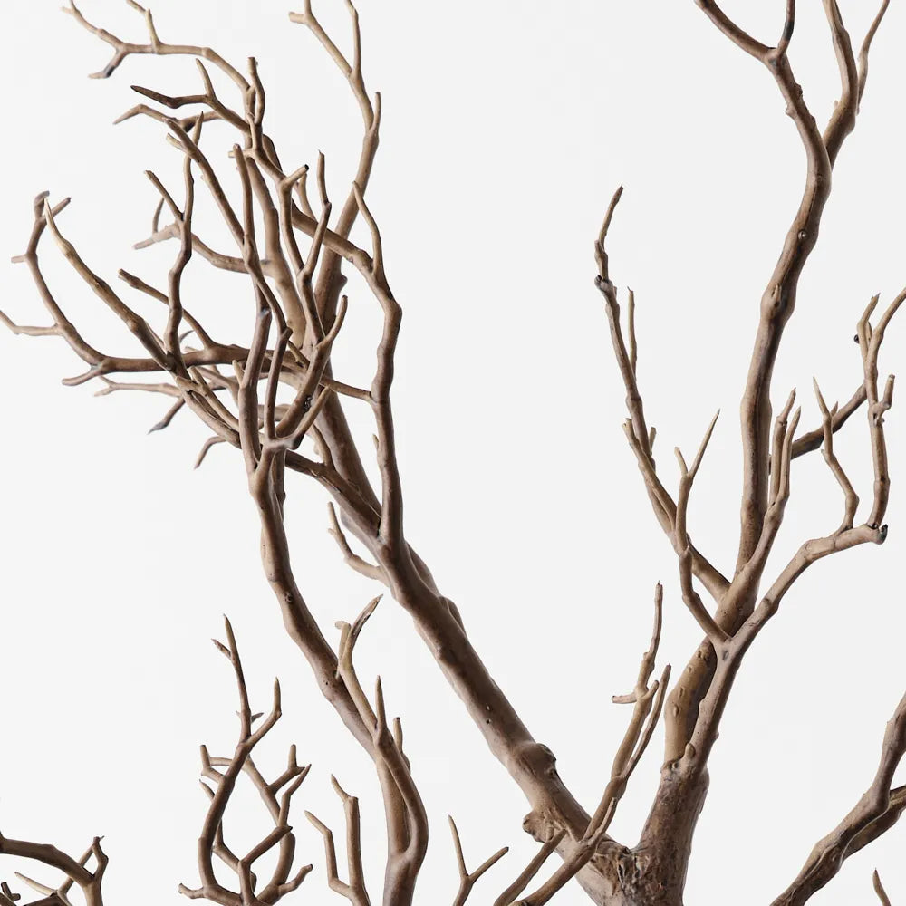 Coral Twig Branch