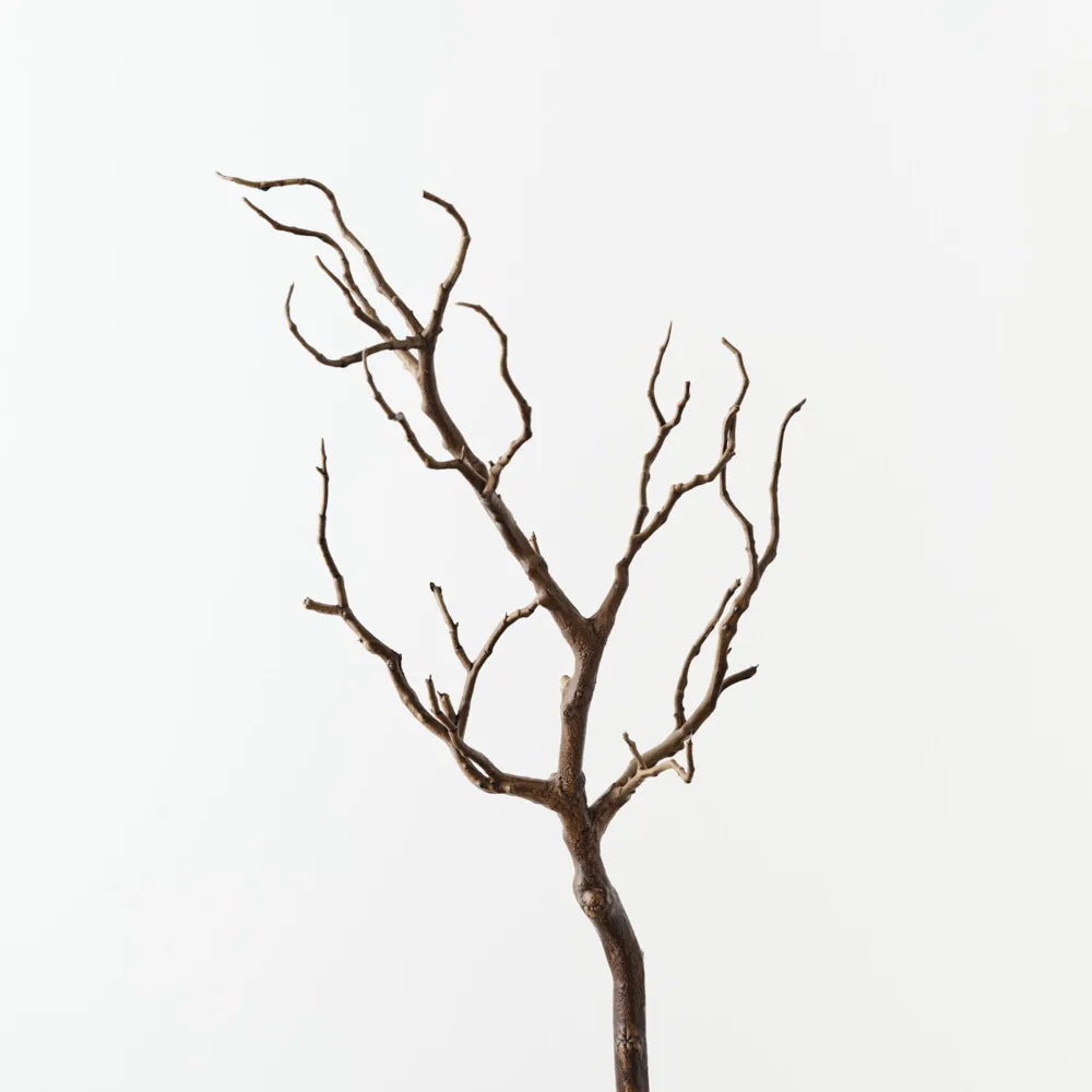 Coral Twig Branch Small