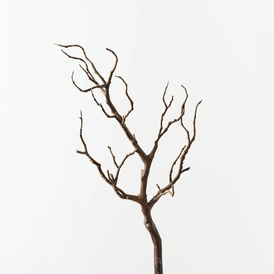 Coral Twig Branch Small