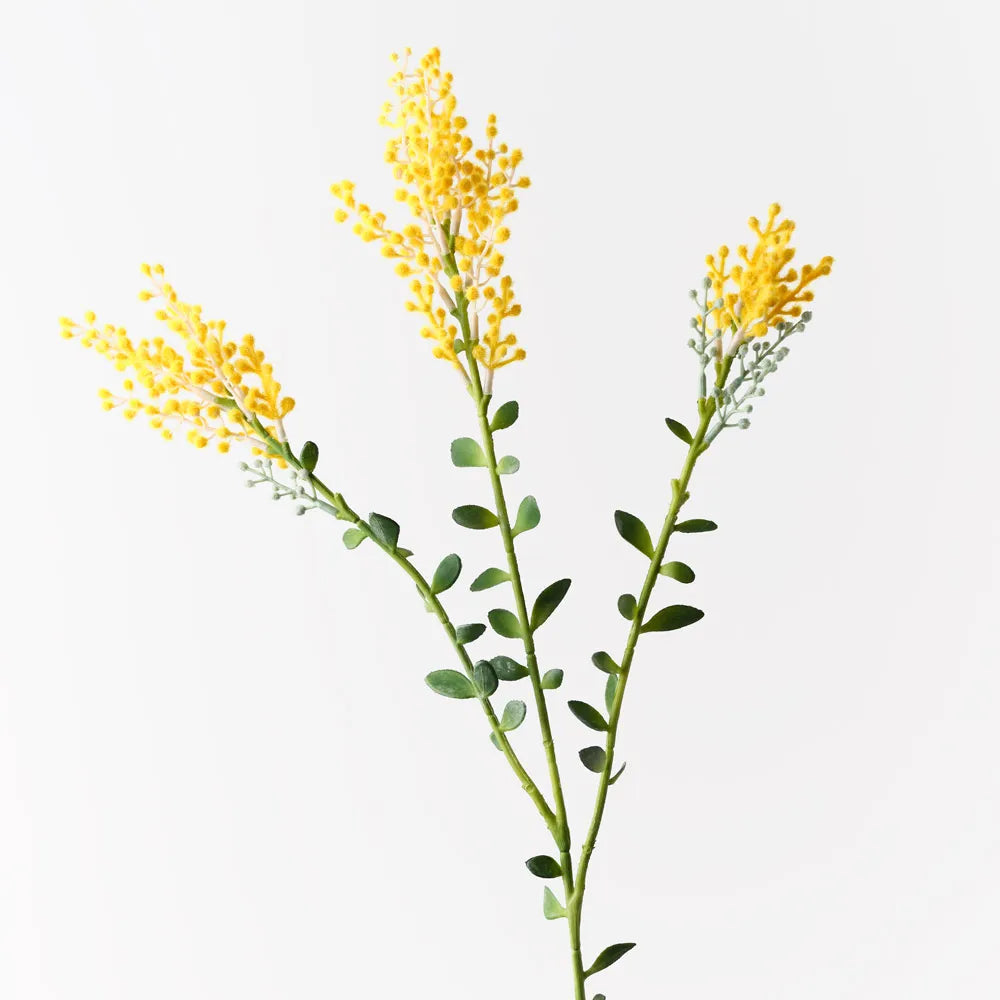 Yellow Wattle Spray