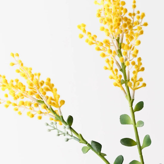 Yellow Wattle Spray