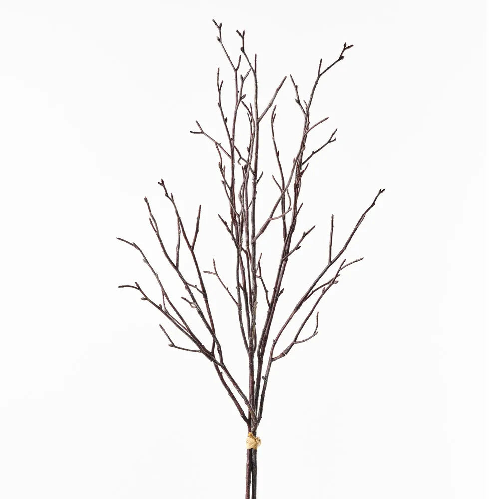 Twig Bundle