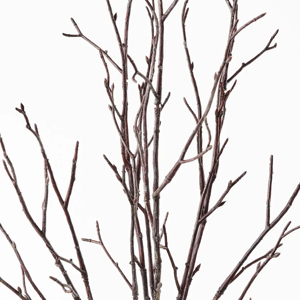 Twig Bundle