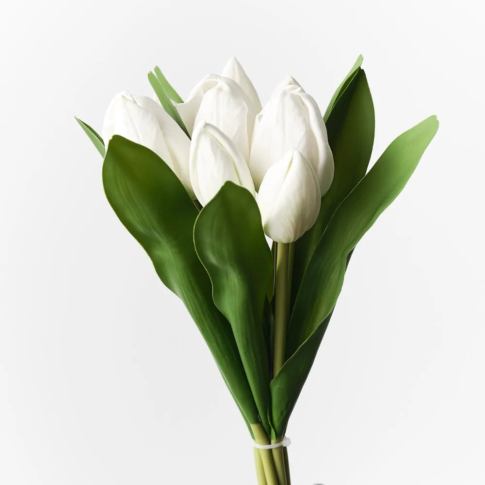 White Tulip Bunch