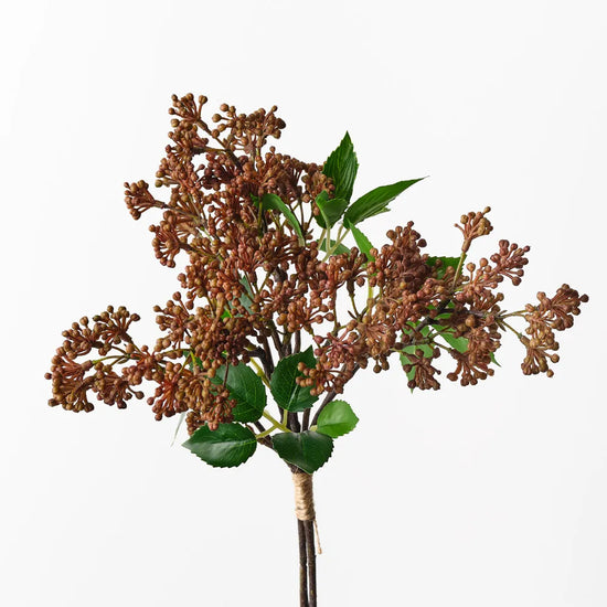 Sedum Bouquet