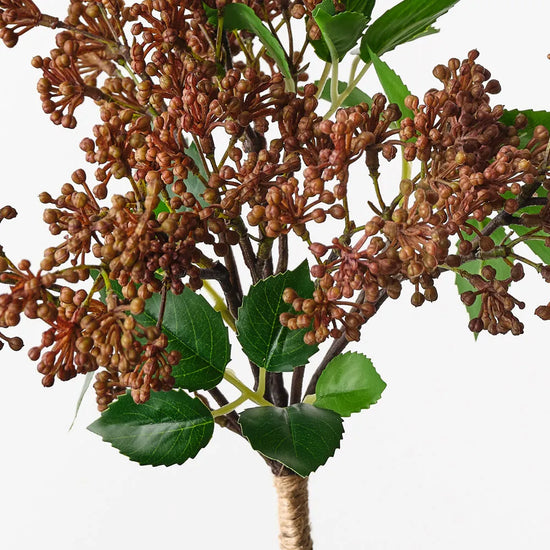 Sedum Bouquet