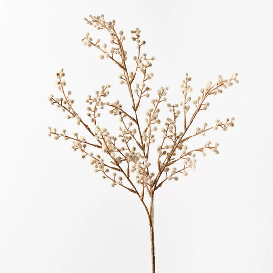 Wattle Spray Natural