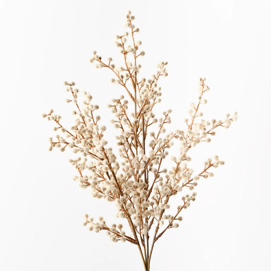 Wattle Spray Natural