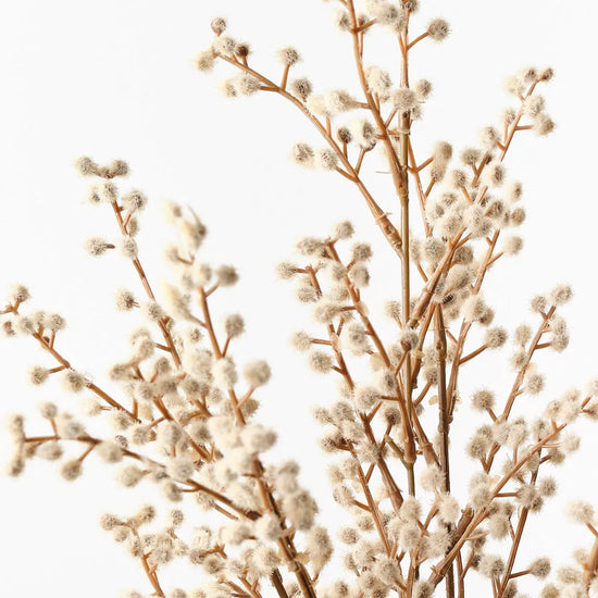 Wattle Spray Natural