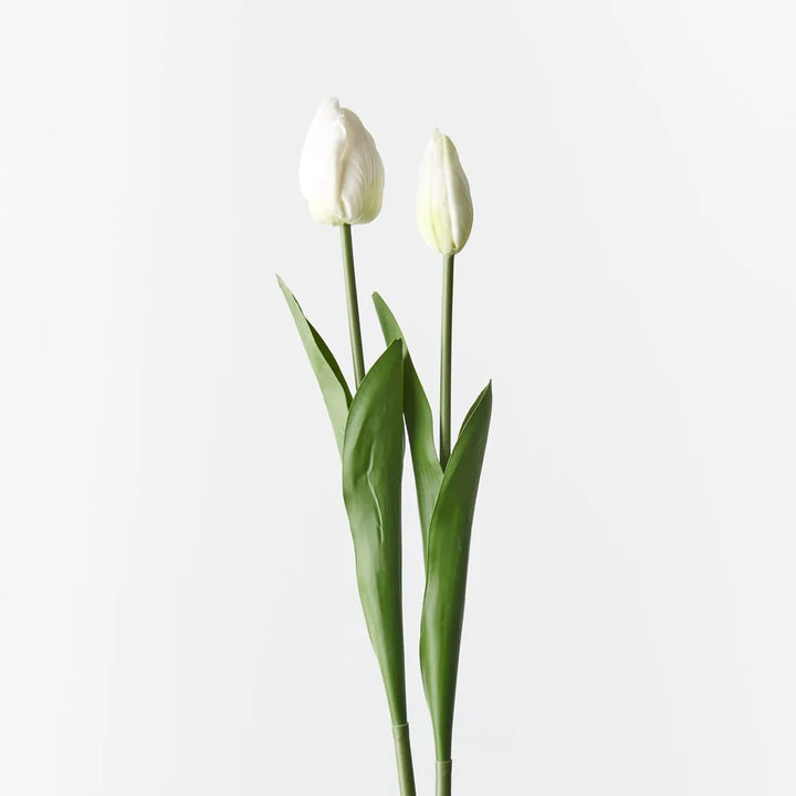 Tulip Bud and Bloom set of 2