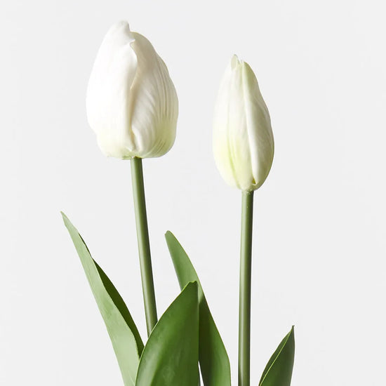 Tulip Bud and Bloom set of 2