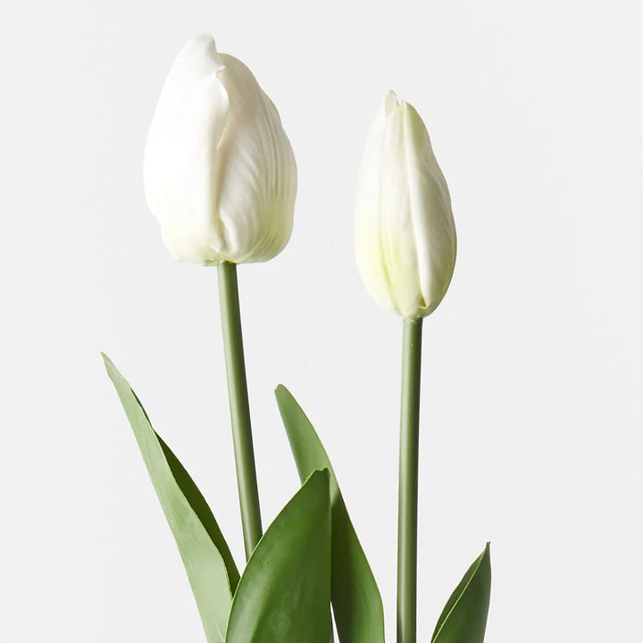 Tulip Bud and Bloom set of 2