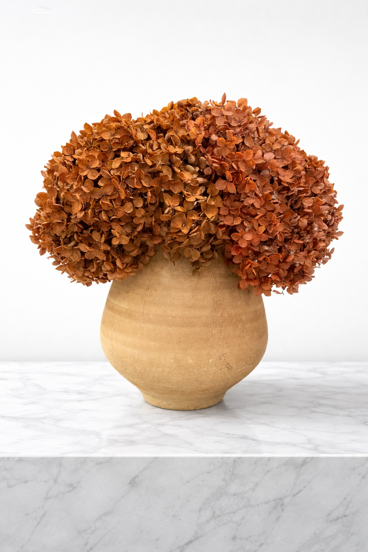 Leilani Brown Pot