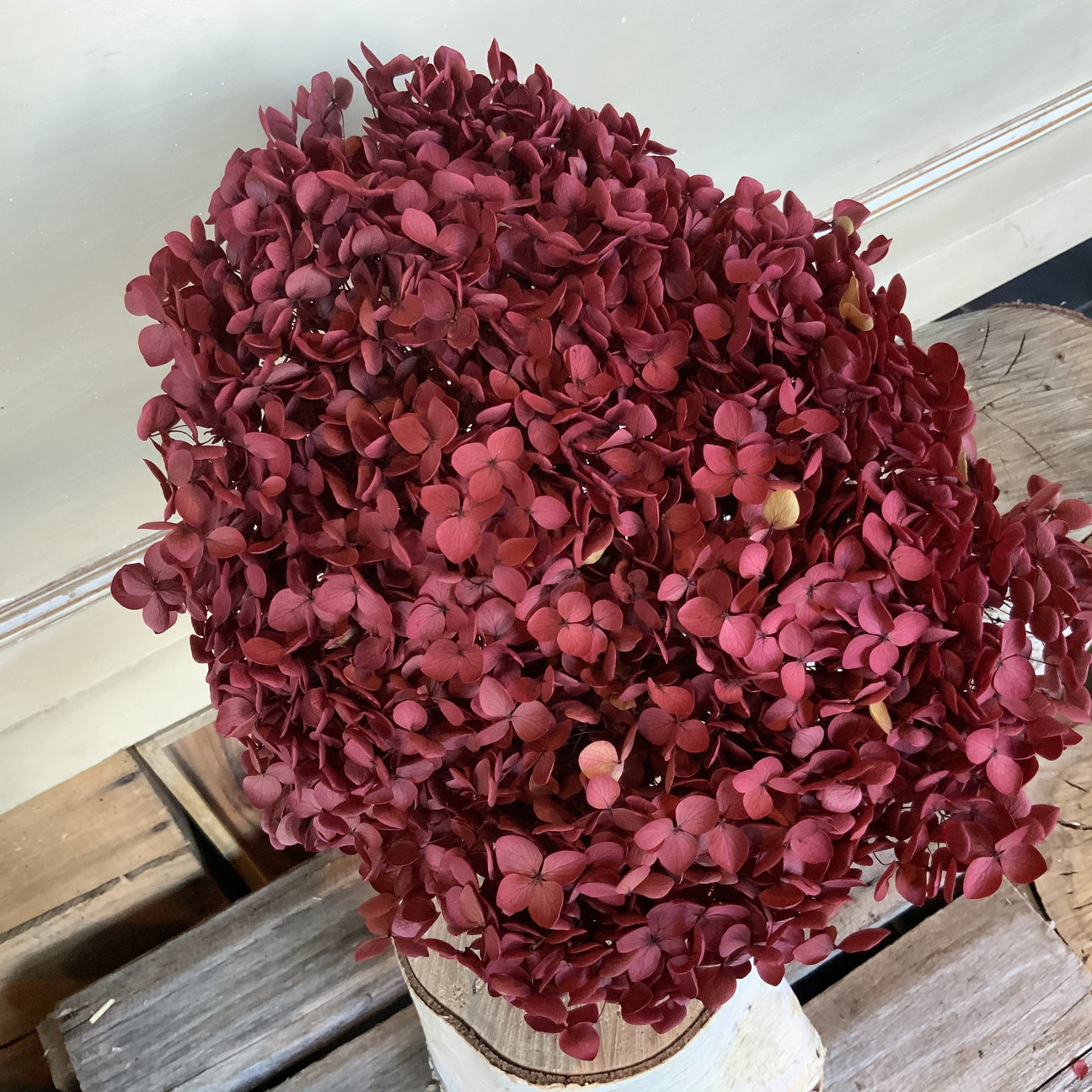 Velour Hydrangea Bloom
