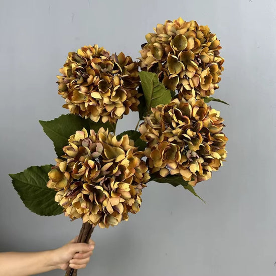 Golden Silk Hydrangea Stem