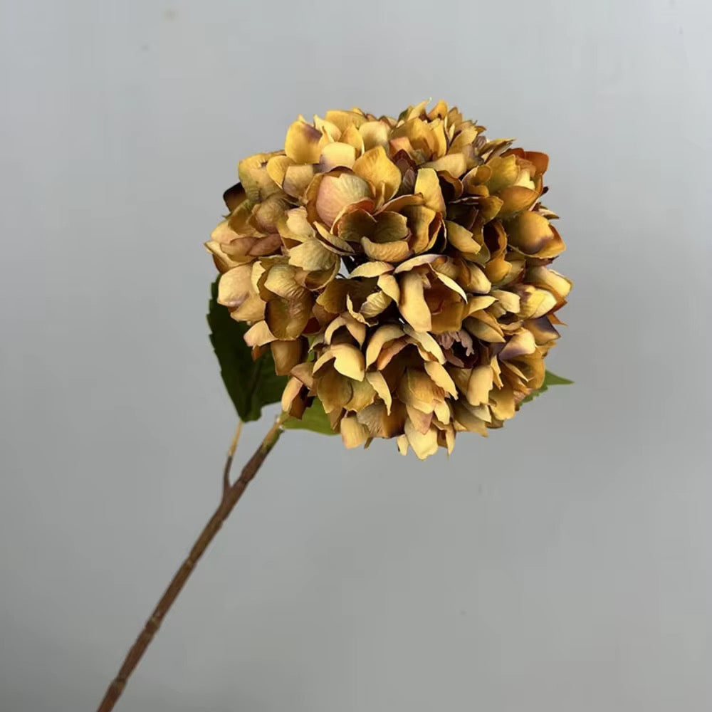 Golden Silk Hydrangea Stem