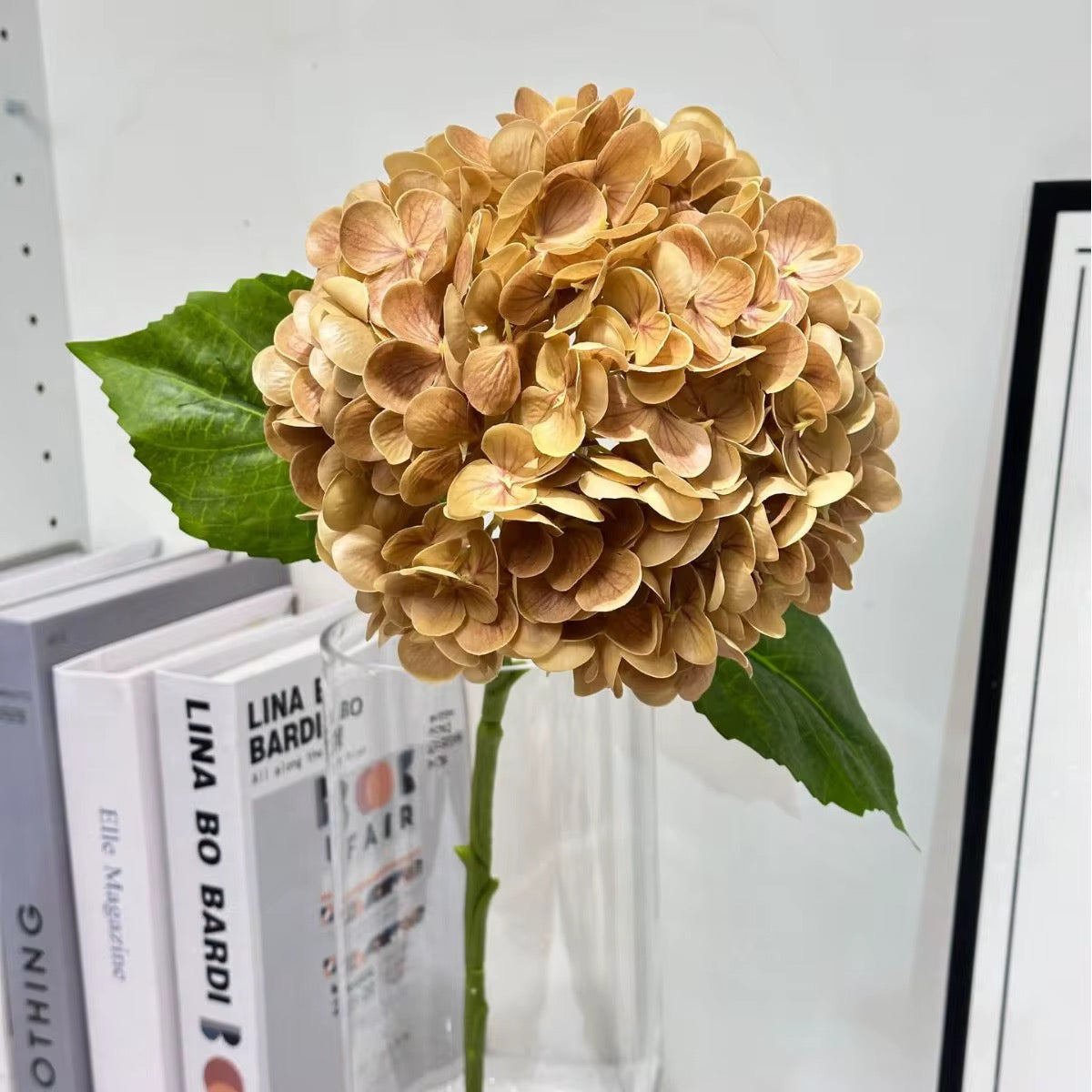 Champagne Silk Hydrangea Stem