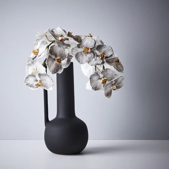 Orchid Phalaenopsis Infused x8