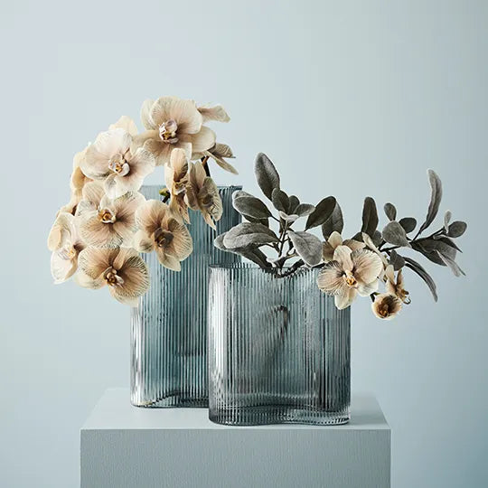 Orchid Phalaenopsis Infused x8
FRESH TOUCH