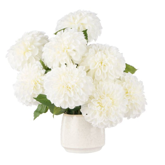 White Dahlia Dream Arrangement
