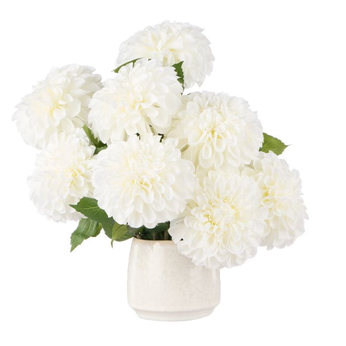 White Dahlia Dream Arrangement