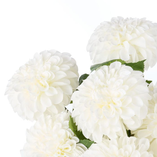 White Dahlia Dream Arrangement