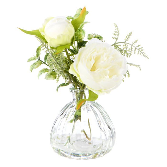 Morning Petal