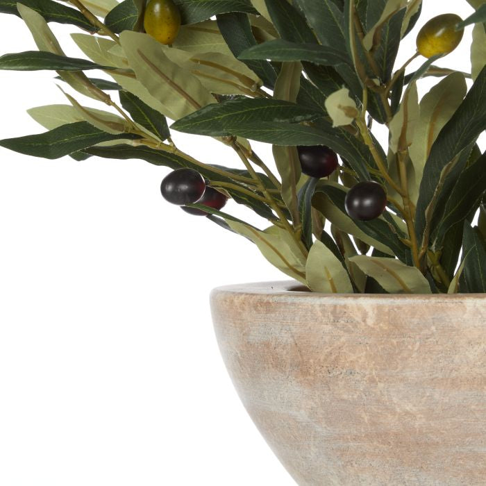 ROGUE OLIVE SPRAY-EARTHENWARE BOWL GREEN & PURPLE