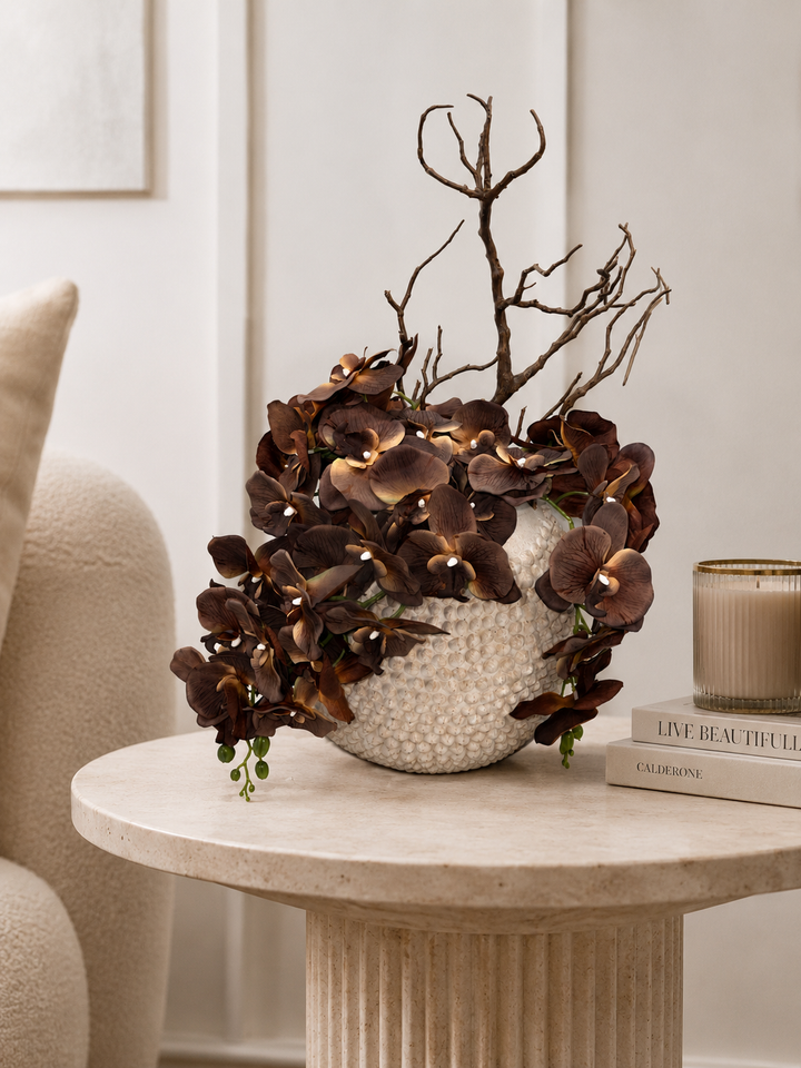 Chocolate Phalaenopsis Orchid Stem
