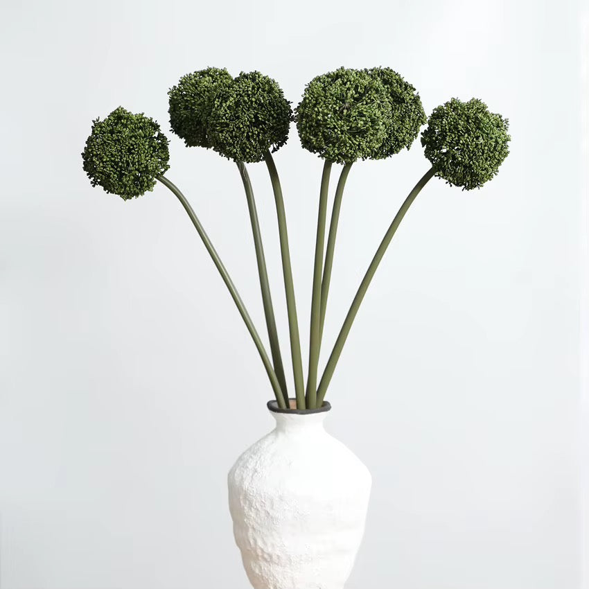 Allium Giganteum Stem – Green