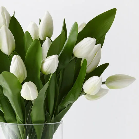 Tulip Mix in Vase