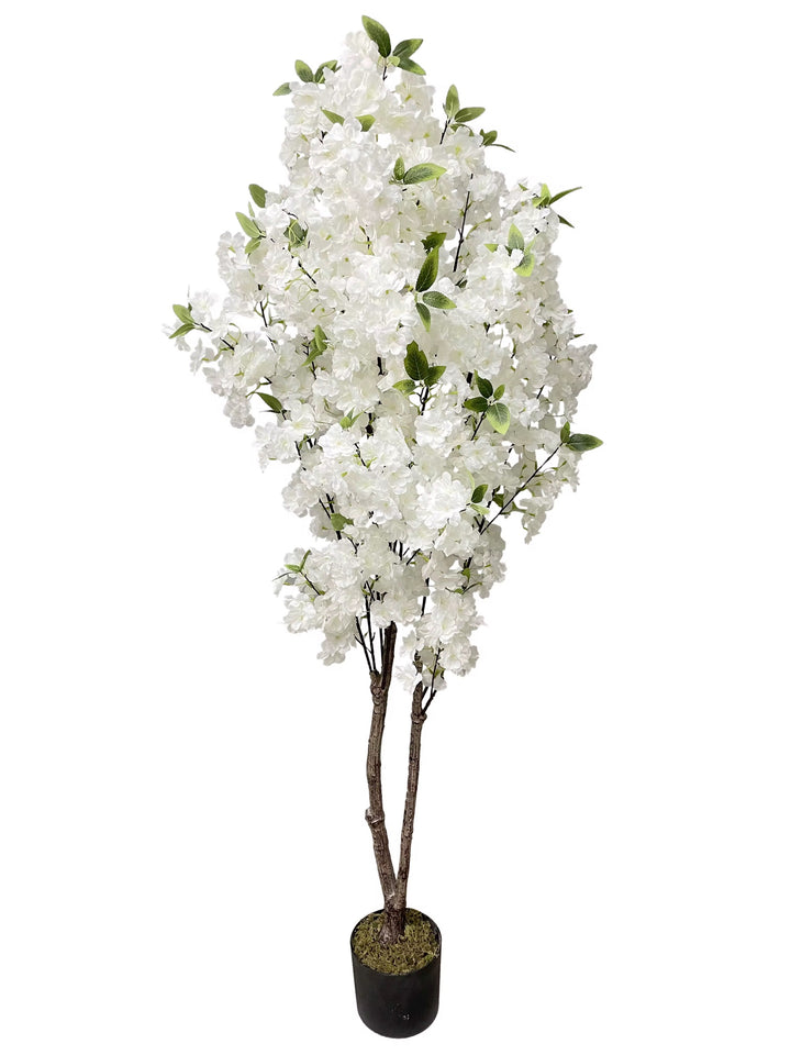 White Silk Blossom Tree