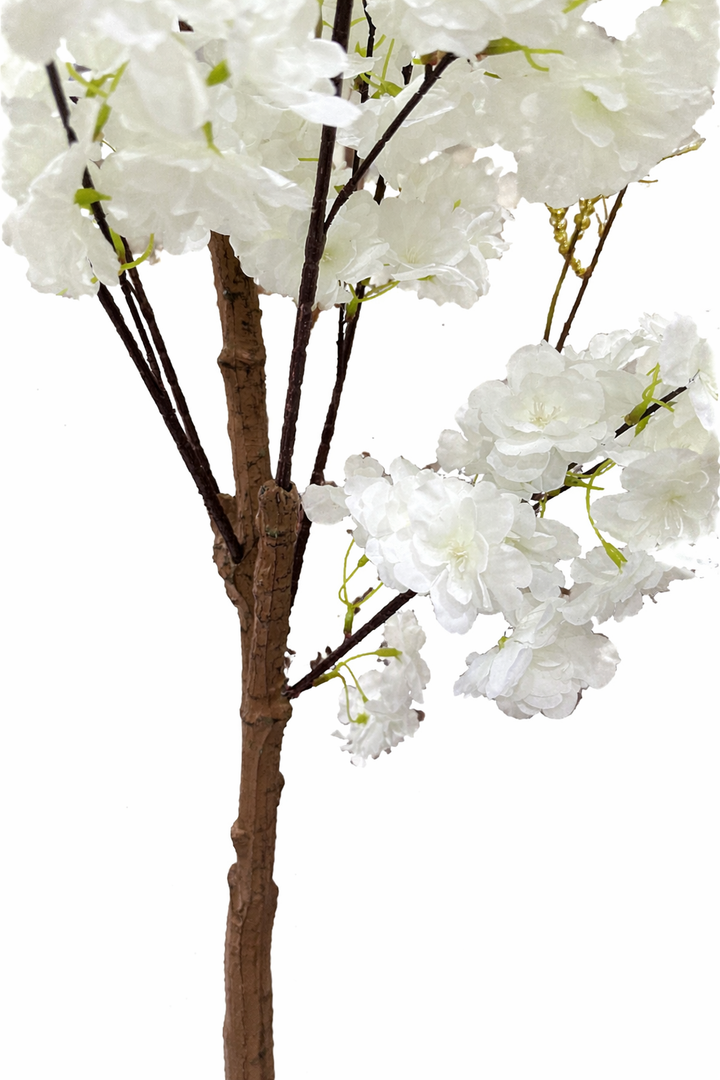 White Silk Blossom Tree