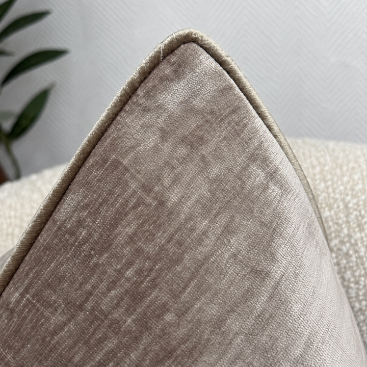Oyster Velvet Cushion