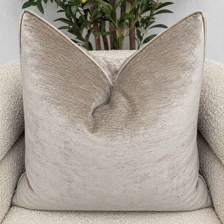 Oyster Velvet Cushion