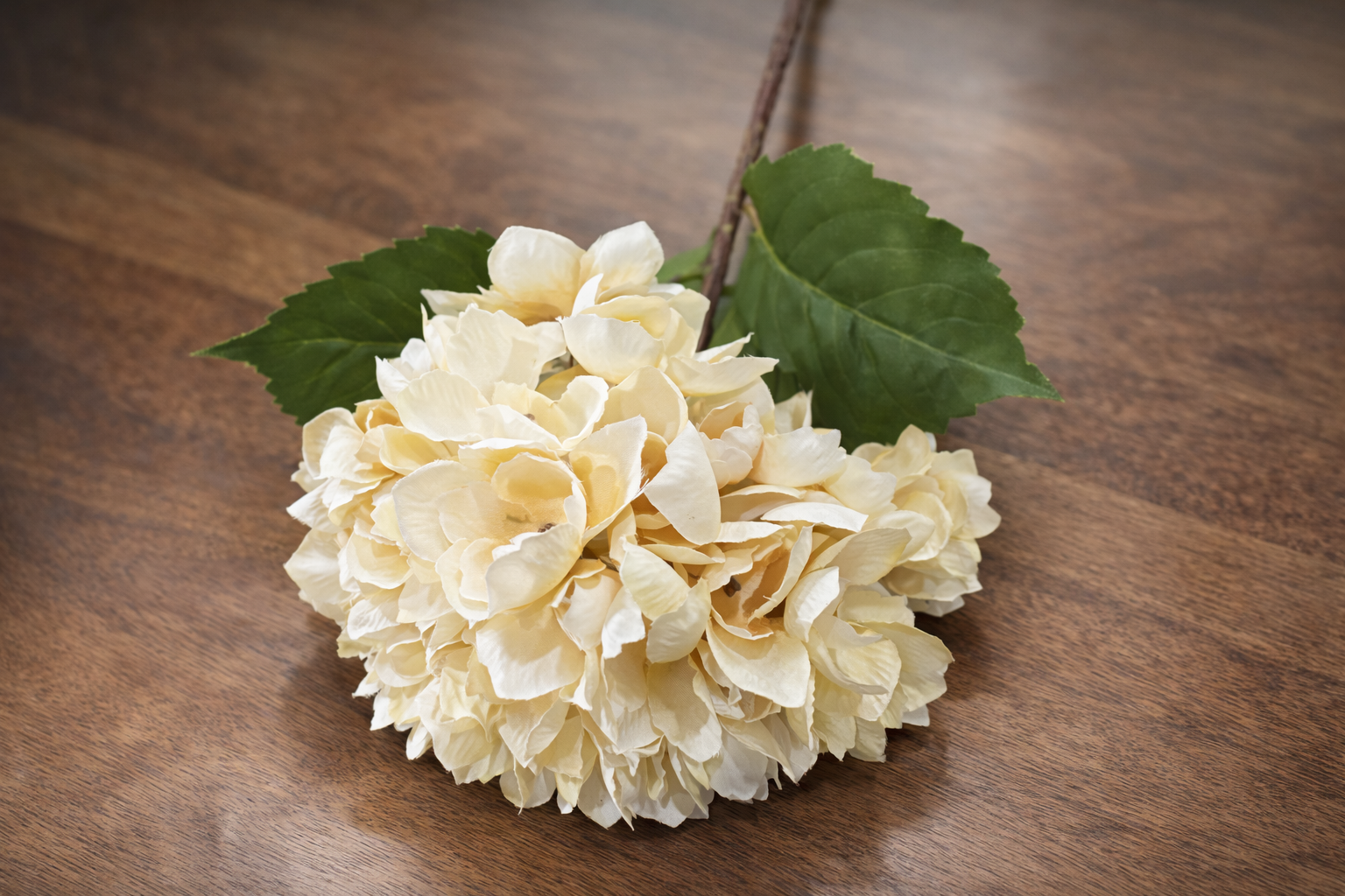 Ivory Luxe Hydrangea Stem